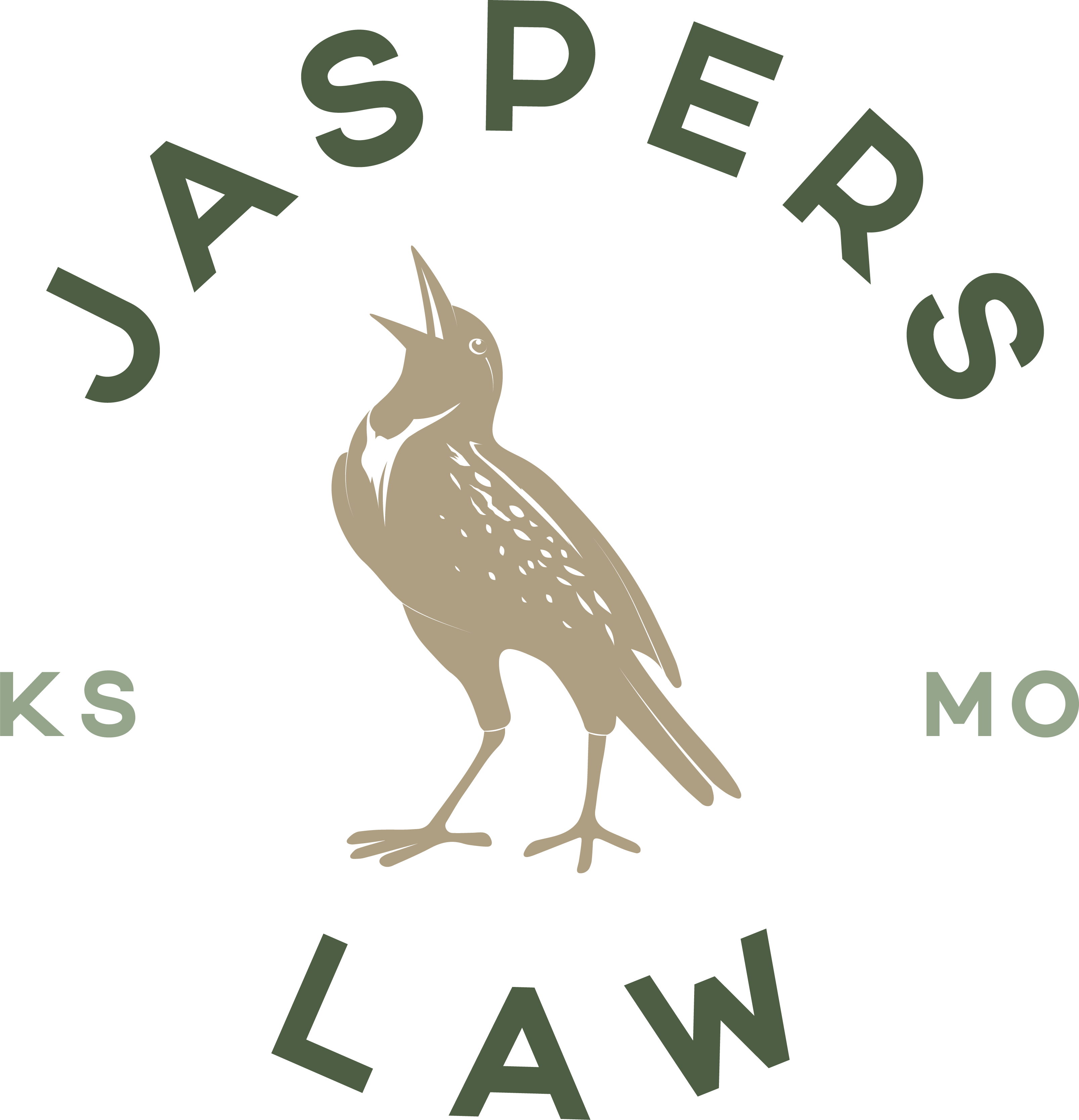 JASPERS LAW